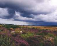 Culloden Moor